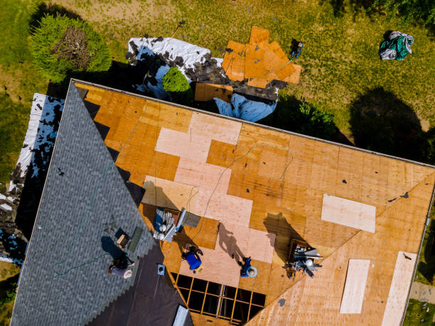 Best Storm Damage Roof Repair  in San Luis, AZ