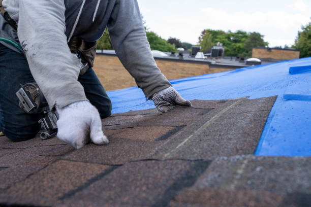 Best Roof Gutter Cleaning  in San Luis, AZ