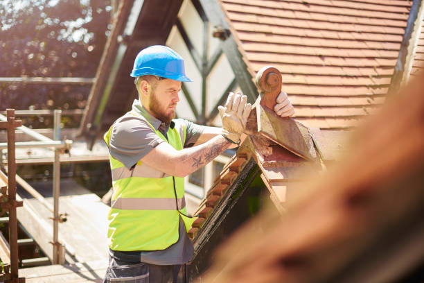 Roof Gutter Cleaning in San Luis, AZ